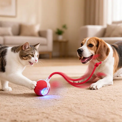 Interactive Smart Rolling Cat Ball – USB Rechargeable, Light-Up & Quiet