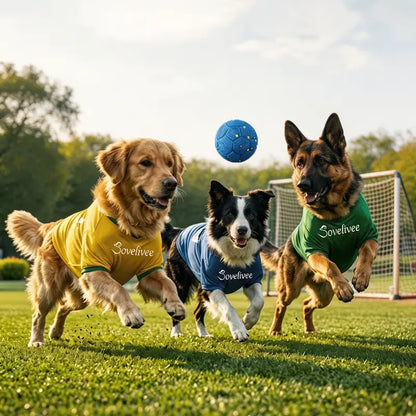 Motion-Activated Smart Moving Dog Ball – USB Rechargeable & Quiet