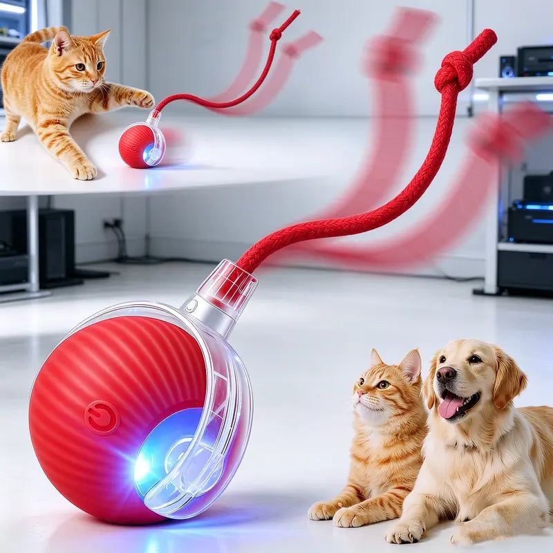 Interactive Smart Rolling Cat Ball – USB Rechargeable, Light-Up & Quiet