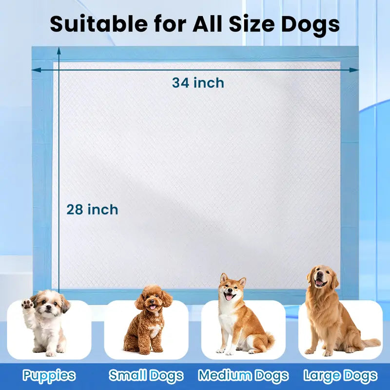 Extra-Large 34" × 28" Pet Training Pee Pads – 50 Count, Quick-Dry & Leak-Resistant