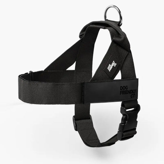No-Pull Dog Walking Harness – Padded, Adjustable & Chafe-Resistant with Quick-Clip Buckle