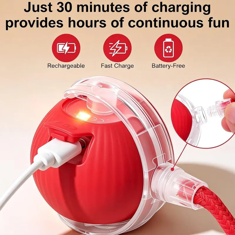 Interactive Smart Rolling Cat Ball – USB Rechargeable, Light-Up & Quiet