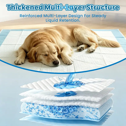 Extra-Large 34" × 28" Pet Training Pee Pads – 50 Count, Quick-Dry & Leak-Resistant
